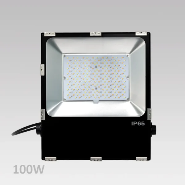 <b>FL100 (1.1A) </b><br />RGB+CCT LED Floodlight (2.4GHz)
